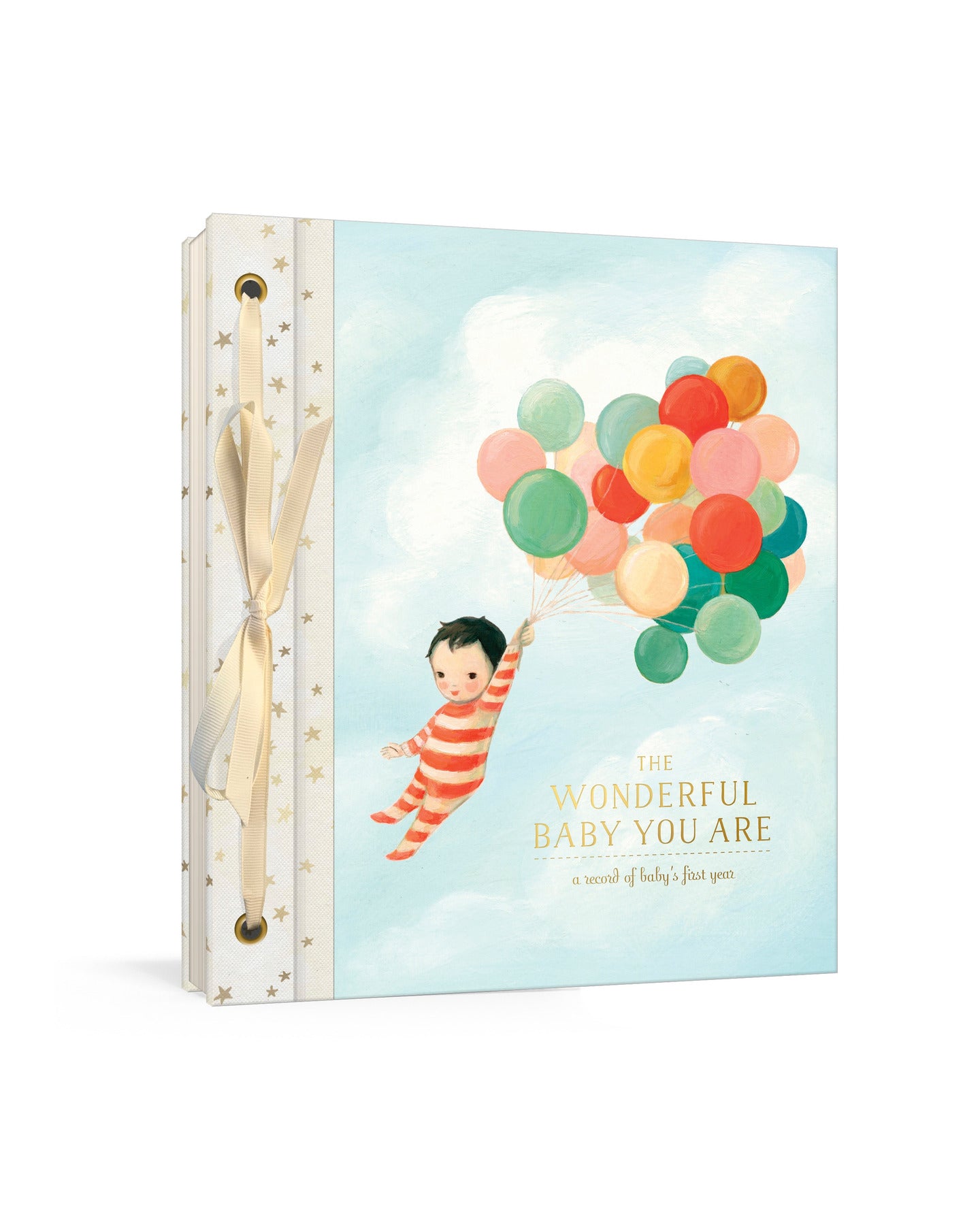 The Wonderful Baby You Are by Emily Winfield Martin