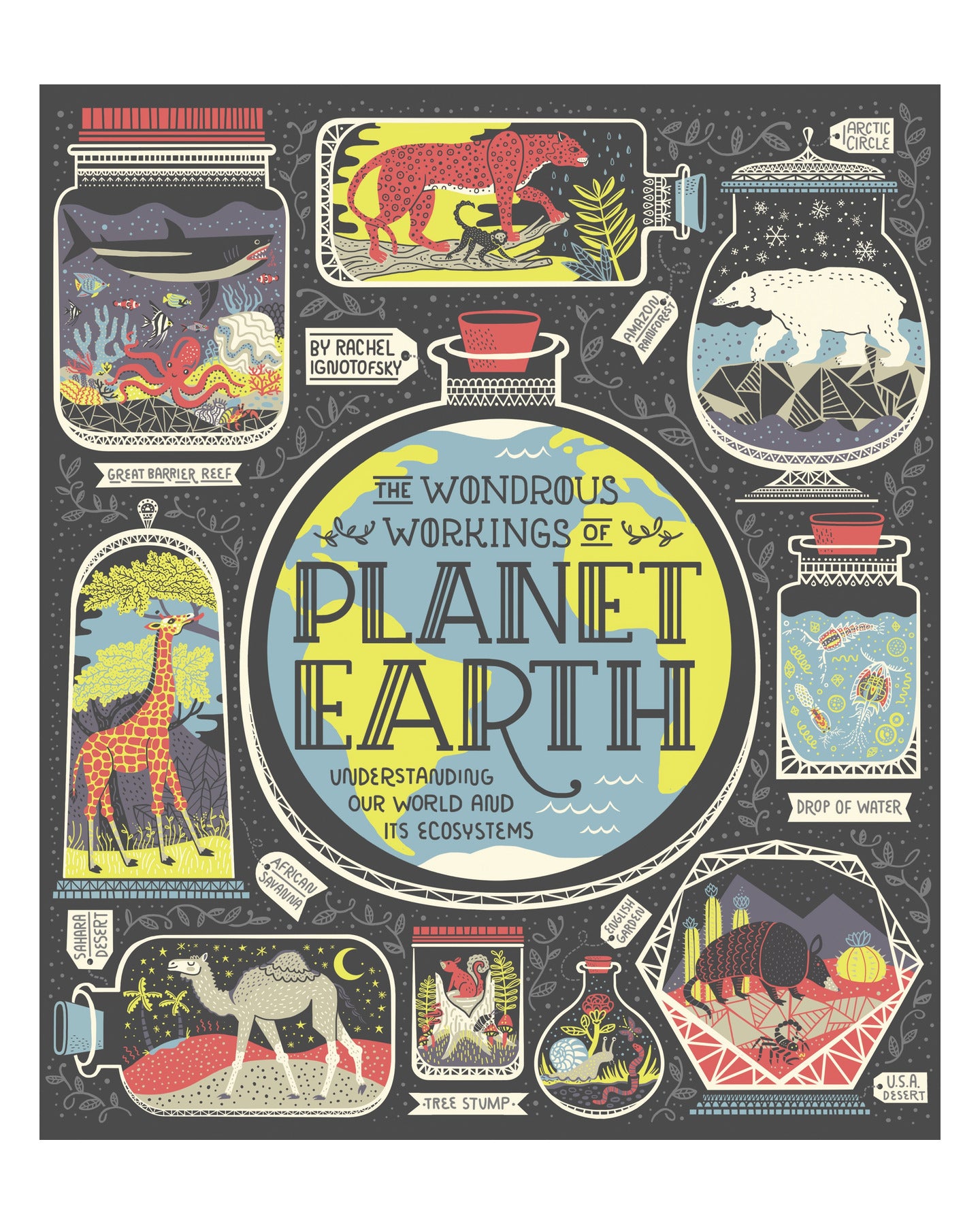 The Wondrous Workings of Planet Earth by Rachel Ignotofsky