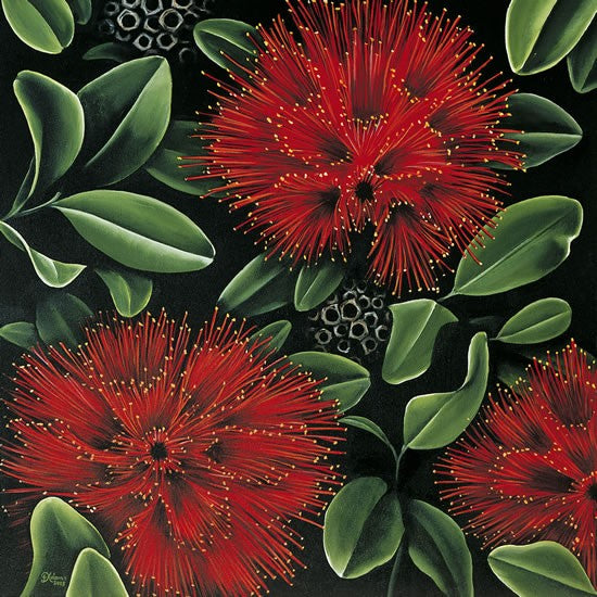 pohutukawa