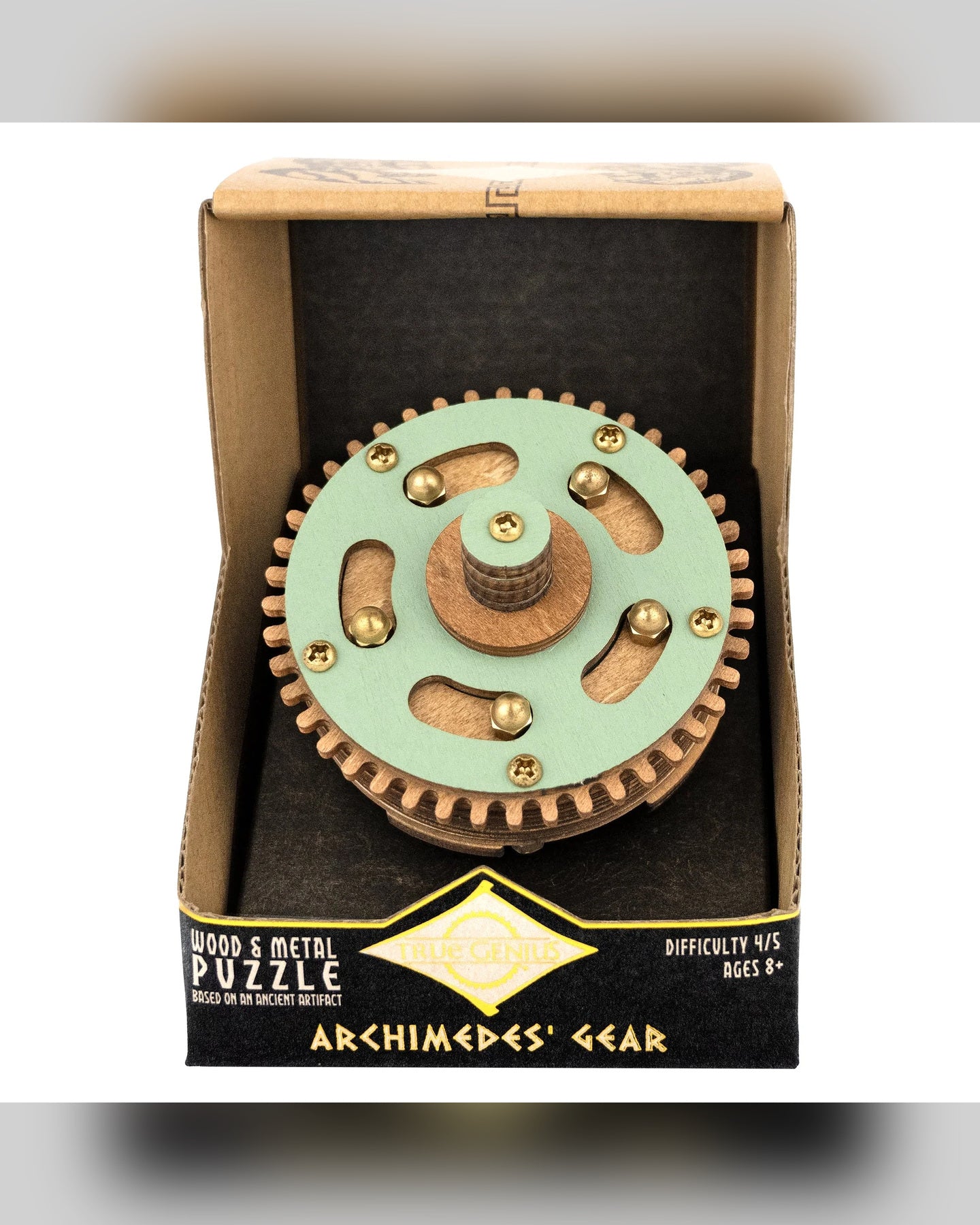 Project Genius Archimedes' Gear Magnetic Pin Puzzle