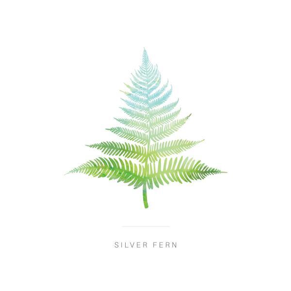 silver-fern