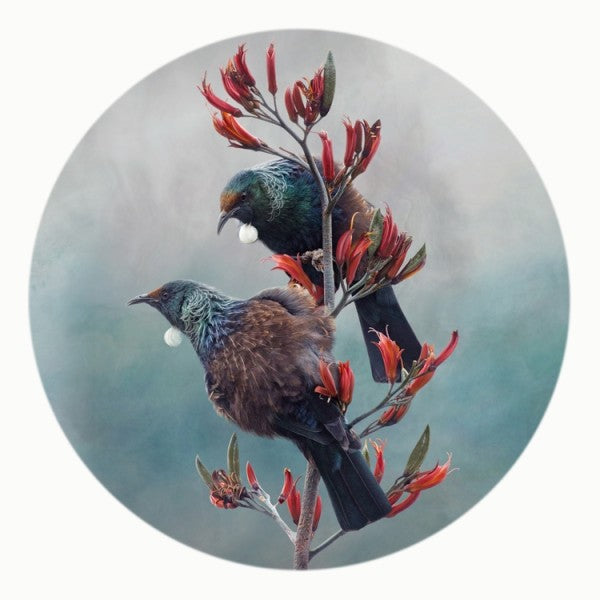 tui-duet-nathan-secker