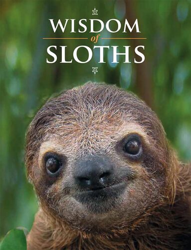 wisdom-of-sloths