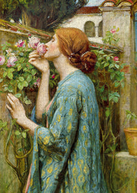 John William Waterhouse: The Soul of the Rose, 1000pcs