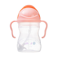 B.BOX Sippy Cup V2 Tutti Frutt