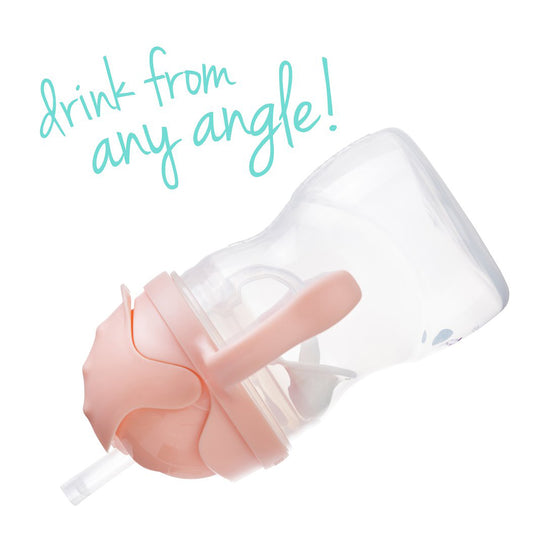 B.BOX Sippy Cup V2 Tutti Frutt