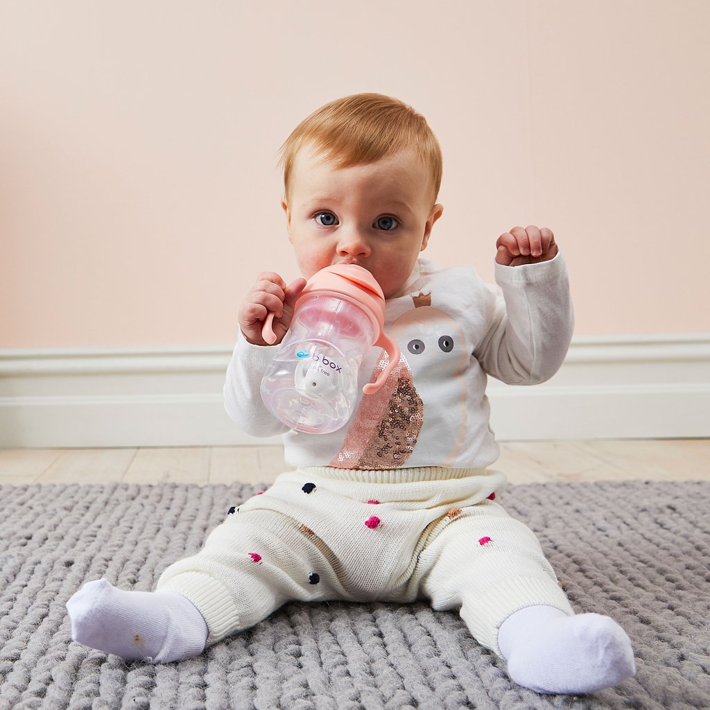 B.BOX Sippy Cup V2 Tutti Frutt