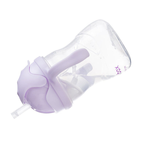 B.BOX Sippy Cup V2 Boysenberry