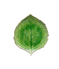 Costa Nova Riviera 22 cm Leaf Plate – Green