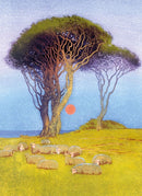 Midsummer Night - Card