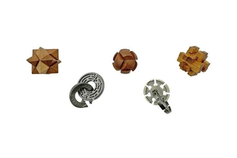 Project Genius True Genius Lost Treasure Collection 5-Pack Brainteaser Puzzle Set
