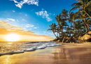 1500pc, Tropical Sunrise