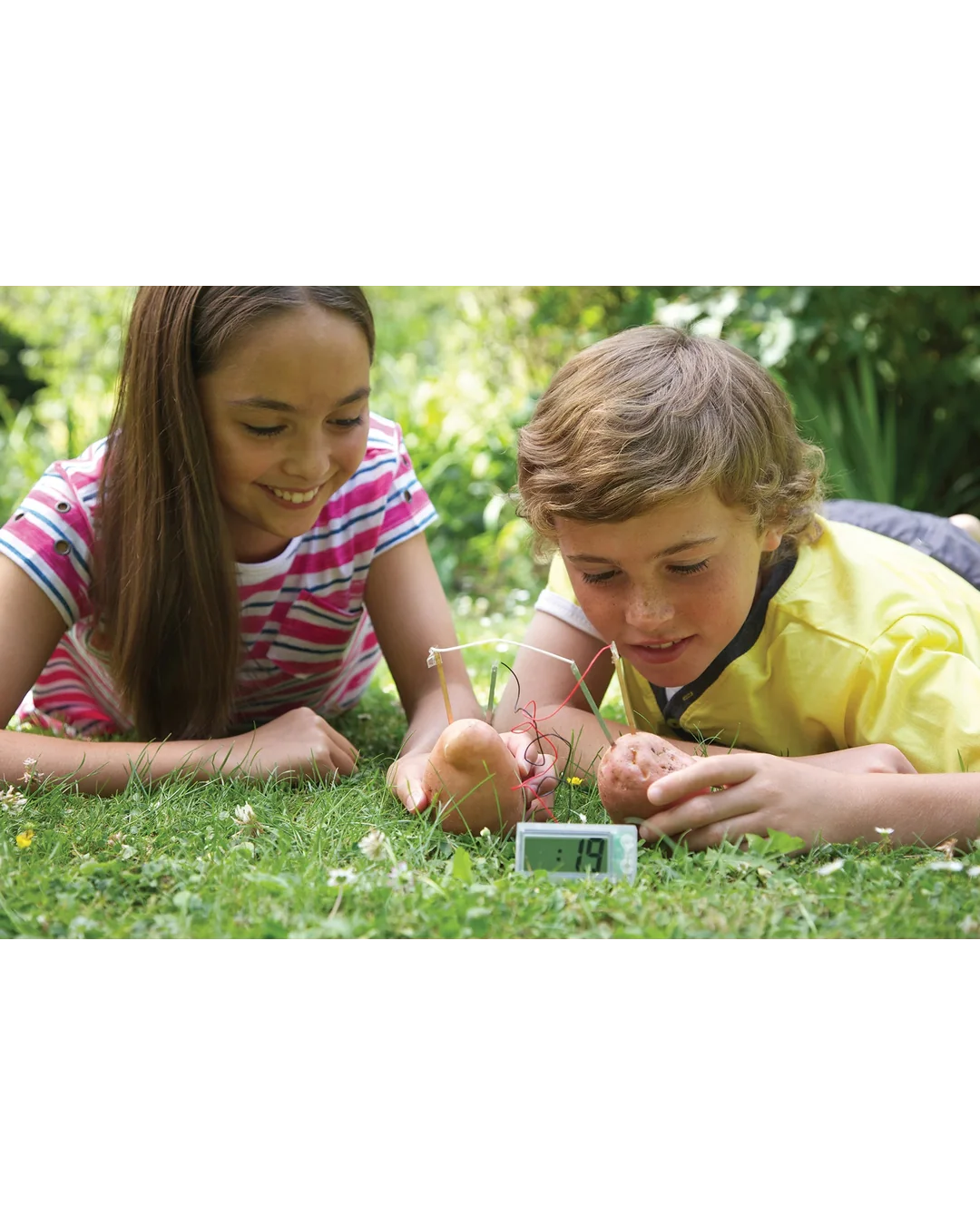 4M Potato Clock Science Kit-4