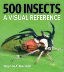 500-insects