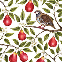 partridge-in-a-pear-tree-cello-pk-5