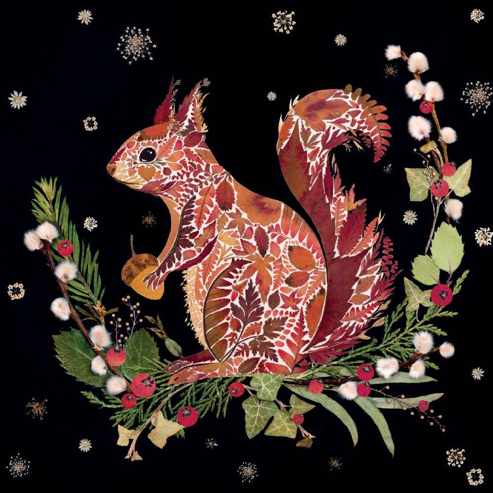 winter-squirrel-8-pkt-christmas-card-pack
