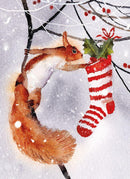 checking-the-stocking-8-pkt