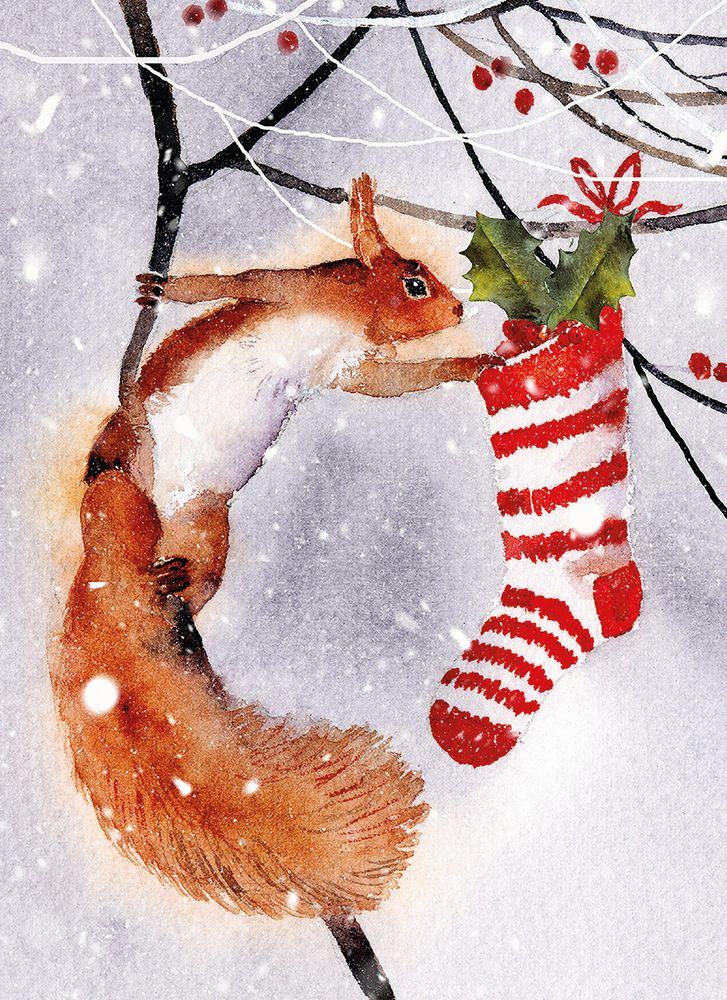 checking-the-stocking-8-pkt