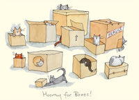 hooray-for-boxes