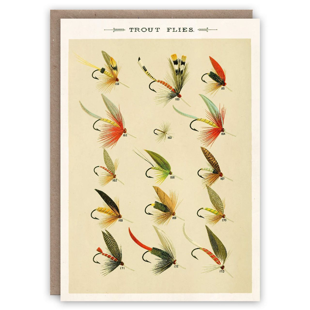 favorite-flies
