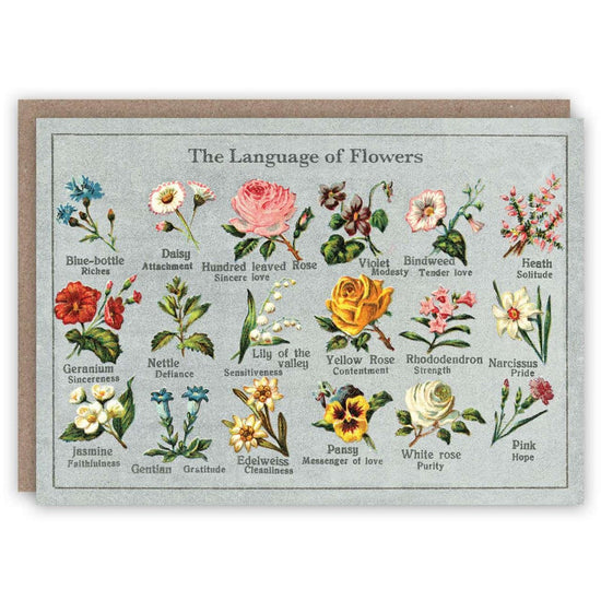 Language Of Flowers - Card