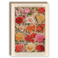 roses