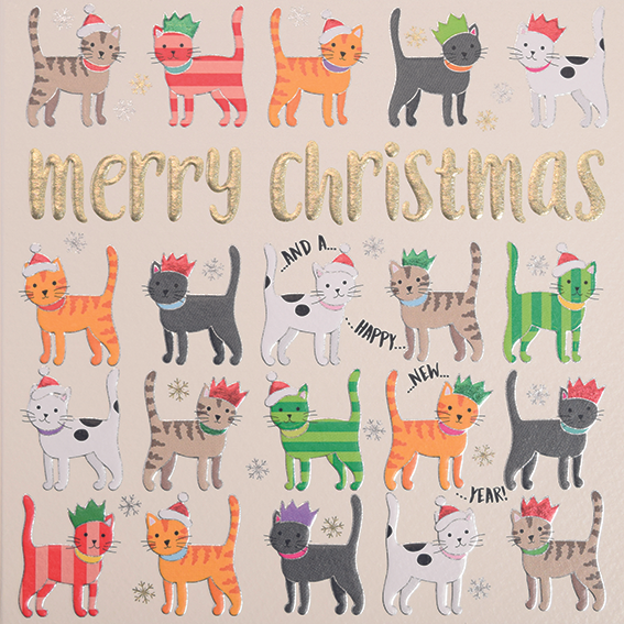 Wendy Jones-Blackett Quicksilver Cats Christmas Card