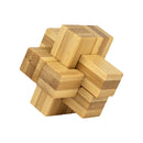 Project Genius Ecological 6-Pack Bamboo Brainteasers Toys