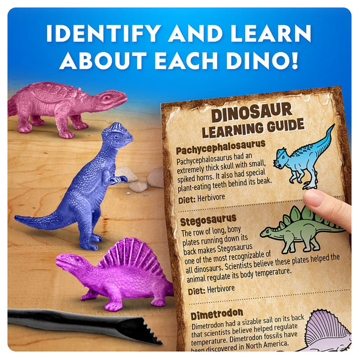 National Geographic Dinosaur Excavation Kit – Assorted