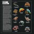 My Sticker Paintings: Reptiles (10 Awesome Animals)