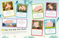 DK Ultimate Sticker Book: Trees and Leaves