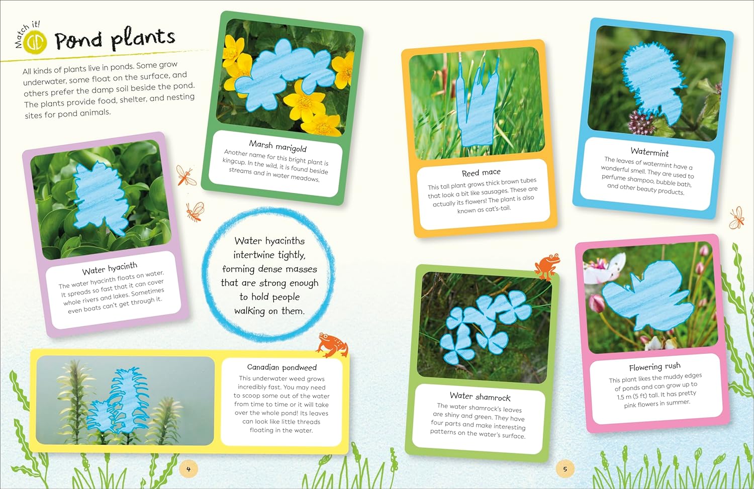 DK Ultimate Sticker Book: Garden Pond