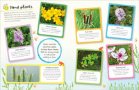 DK Ultimate Sticker Book: Garden Pond