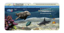 Fun Flaps: Oceans ABC cover – additional image