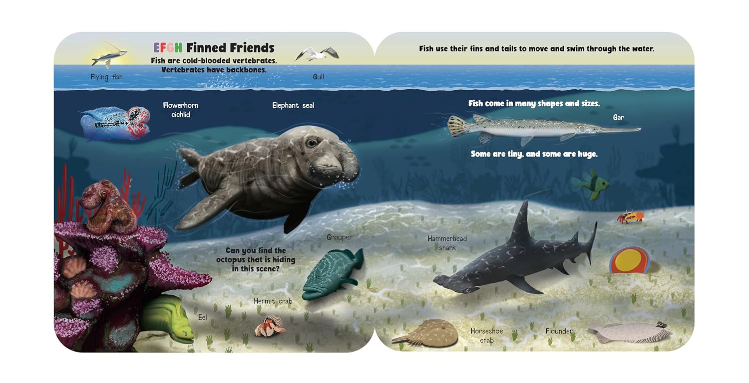 Fun Flaps: Oceans ABC cover – additional image