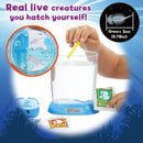 Sea-Monkeys Ocean Zoo Science Kit