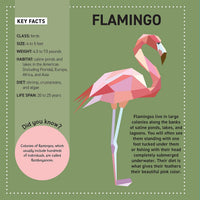 My Sticker Paintings: Animals of the World