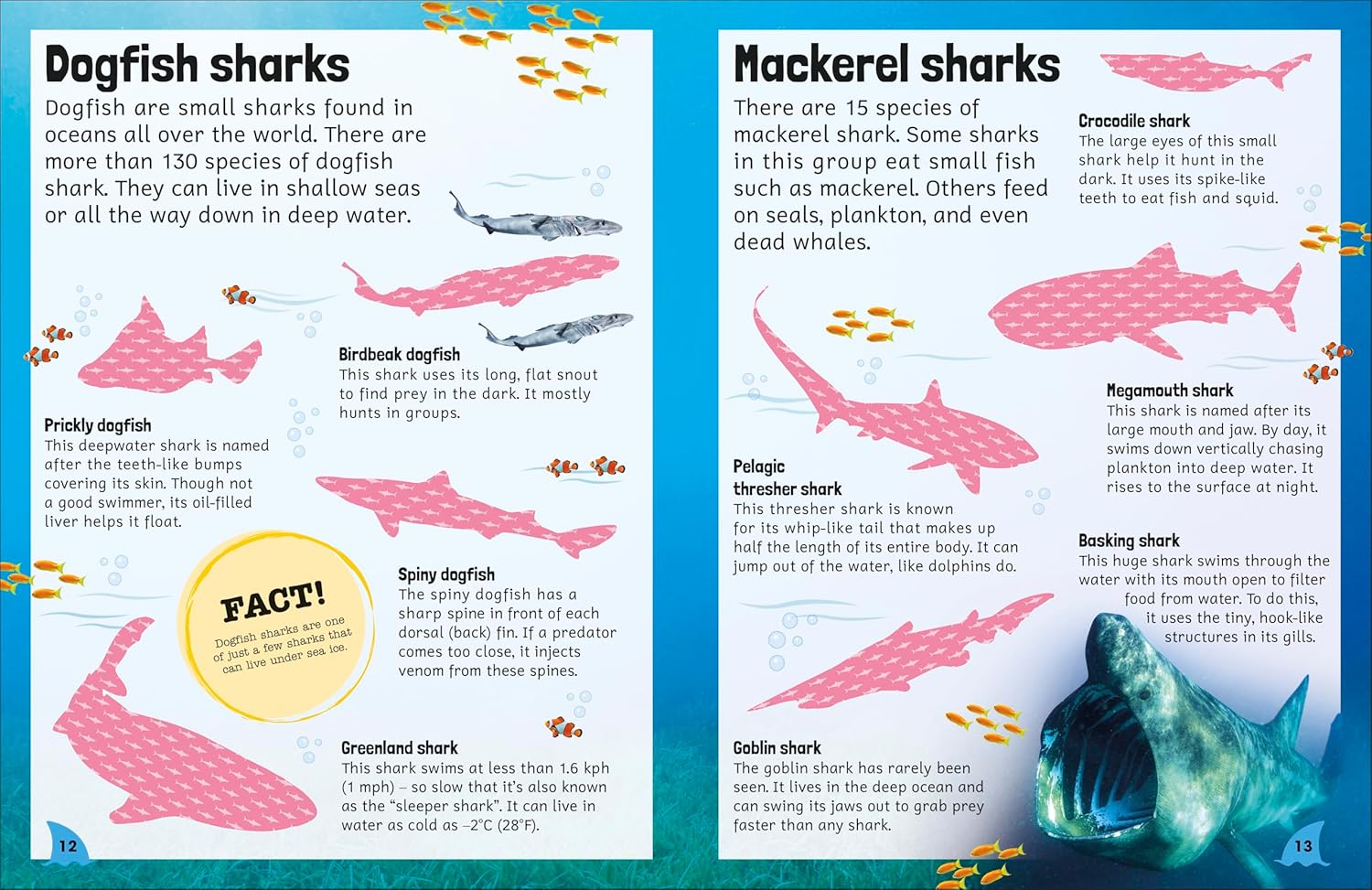 Sticker Encyclopedia Sharks | DK