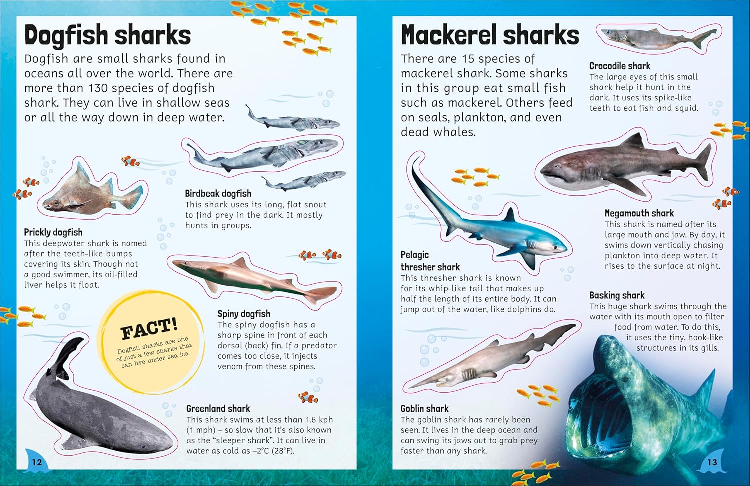 Sticker Encyclopedia Sharks | DK