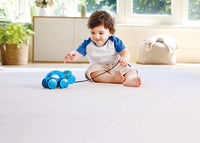 Hape x The Met William® Wooden Pull-Along Toy