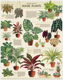 cavallini-co-house-plants-1000-pce-vintage-puzzle
