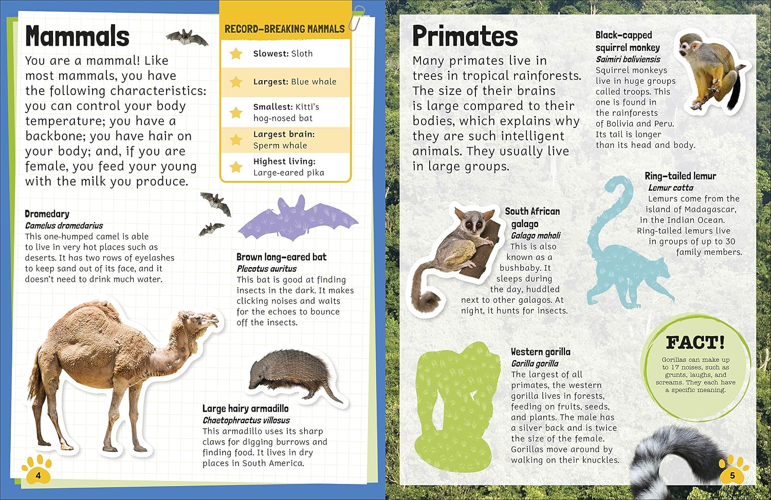 Sticker Encyclopedia: Animals | DK
