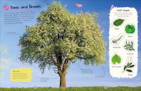 DK Ultimate Sticker Book: Trees and Leaves