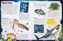 Sticker Encyclopedia Sharks | DK