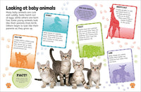 Sticker Encyclopedia: Baby Animals | DK