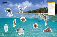 Sticker Encyclopedia: Animals | DK