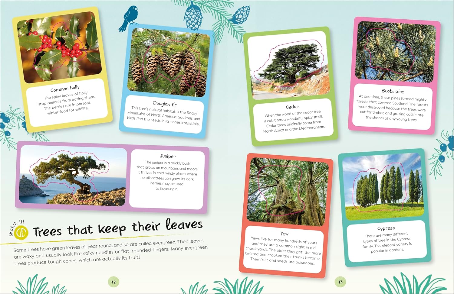 DK Ultimate Sticker Book: Trees and Leaves