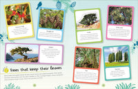 DK Ultimate Sticker Book: Trees and Leaves