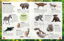 Sticker Encyclopedia: Baby Animals | DK