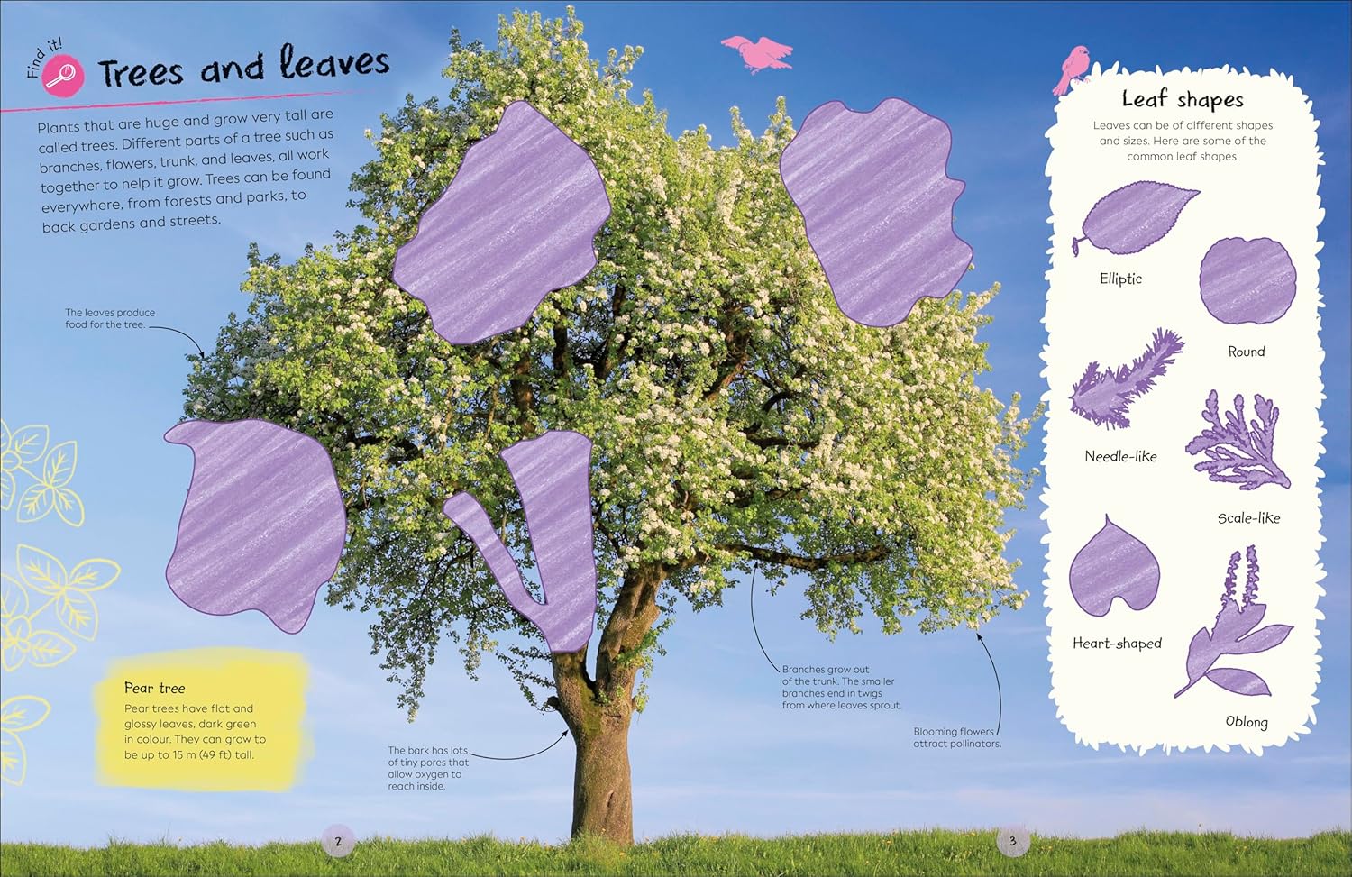 DK Ultimate Sticker Book: Trees and Leaves